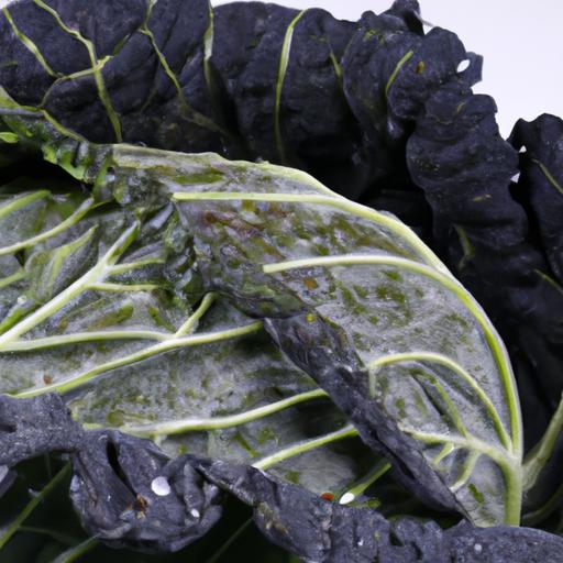 Black Cabbage Health Benefits