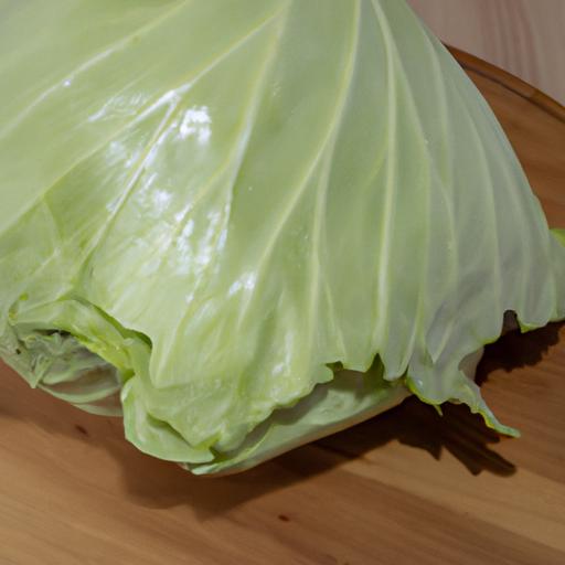 Cabbage leaves have been used since ancient times for their medicinal properties, including their ability to draw out infection.