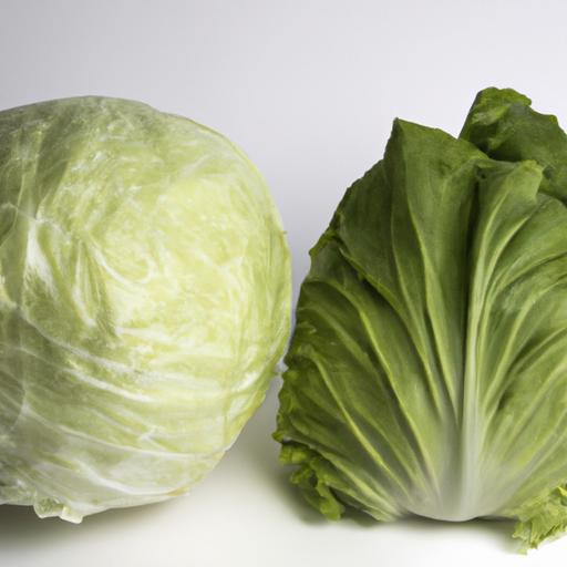 Cabbage and lettuce have different nutritional values but both offer health benefits.