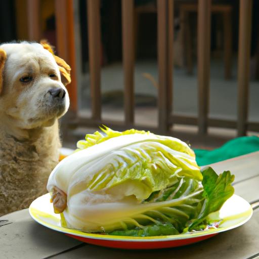 Can Dogs Eat Napa Cabbage