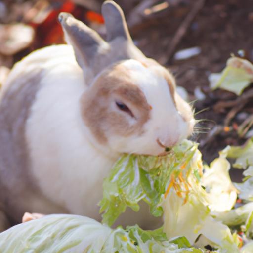 Can Rabbits Eat Napa Cabbage