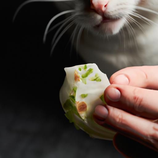 Cooked cabbage is safe for cats in moderation, but how much is too much?