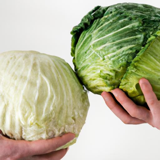 Choosing the right cabbage is crucial for cutting into wedges