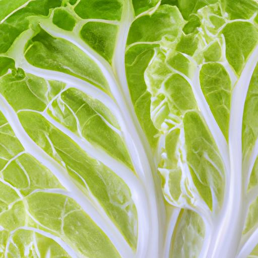 Napa cabbage is rich in vitamins and minerals that contribute to overall health and well-being.