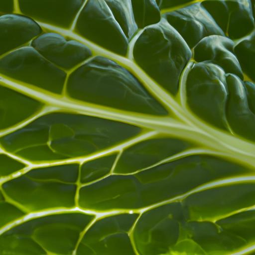 Cabbage can be used in various ways to improve skin health