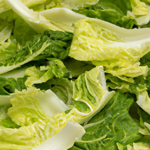 Preparing napa cabbage for your rabbit is easy and rewarding.