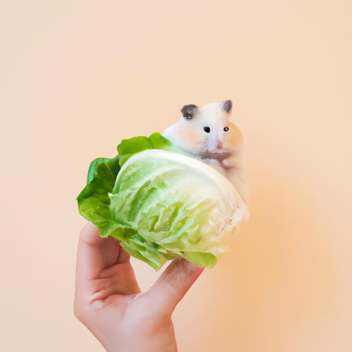It's important to prepare and serve cabbage safely to avoid any negative effects on hamsters.