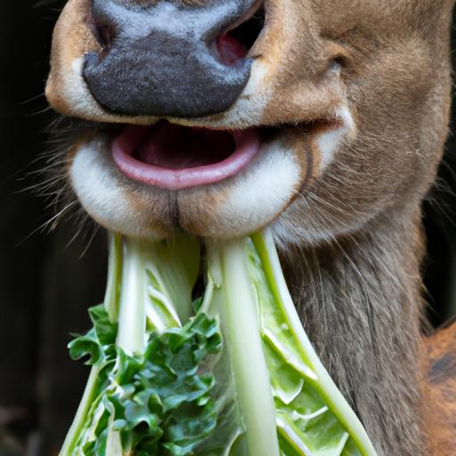 Do deer eat cabbage? Here's the proof!