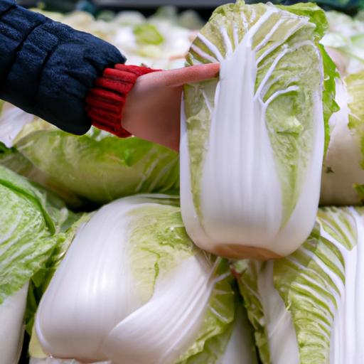 Choosing the perfect Chinese chomping cabbage at the local grocery store