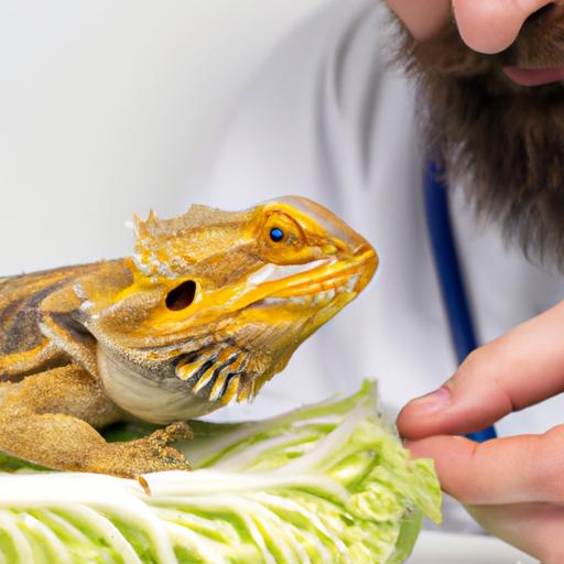 Consulting with a veterinarian before introducing cabbage to your bearded dragon's diet can prevent health complications.