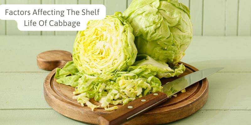 Factors Affecting The Shelf Life Of Cabbage