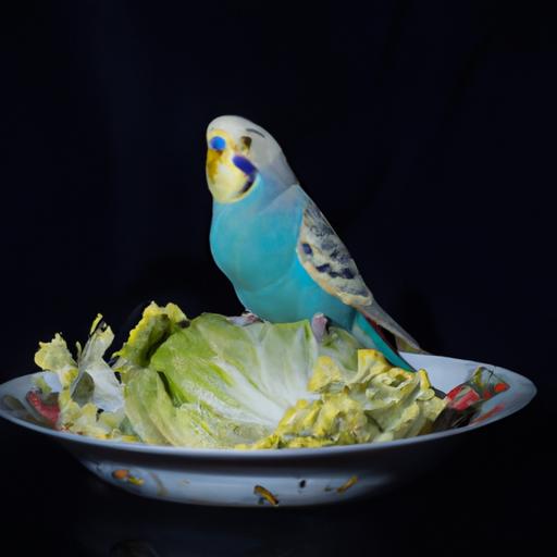 Can Parakeets Eat Cabbage