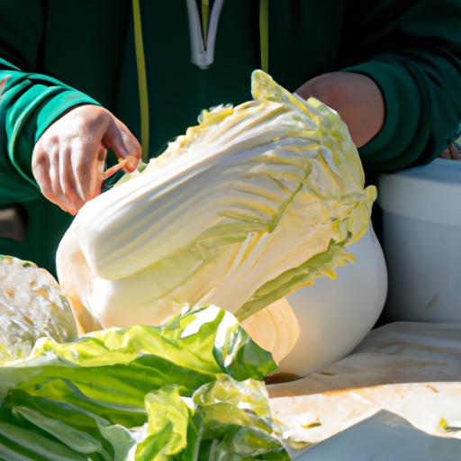 How To Get Chinese Chomping Cabbage