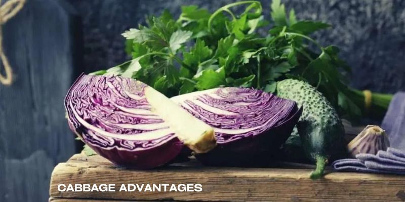 How to cut cabbage: Cabbage advantages