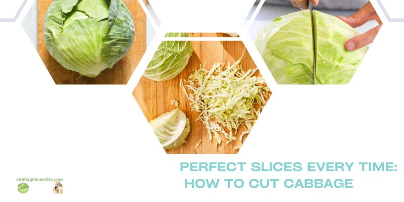 Perfect Slices Every Time: How To Cut Cabbage