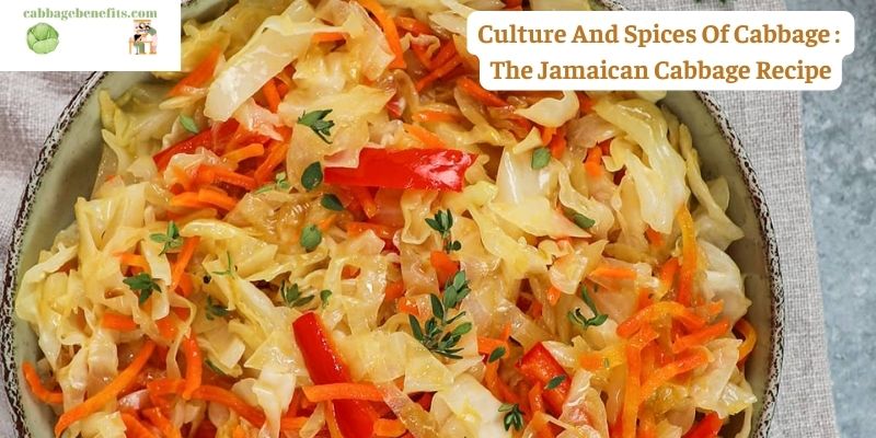 Culture And Spices Of Cabbage : The Jamaican Cabbage Recipe
