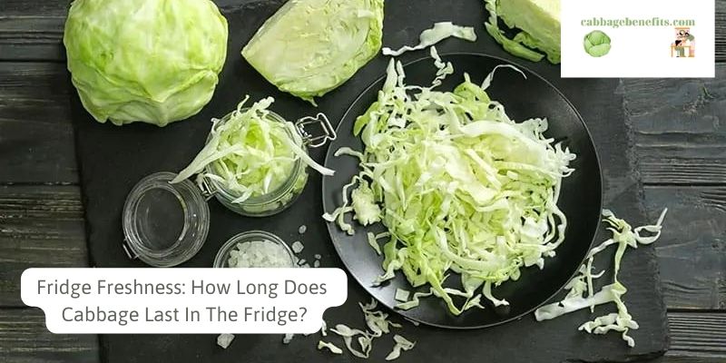 Fridge Freshness: How Long Does Cabbage Last In The Fridge?