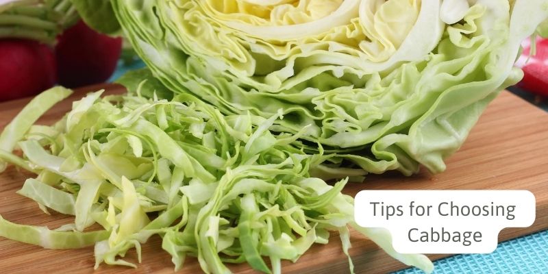Tips for Choosing Cabbage